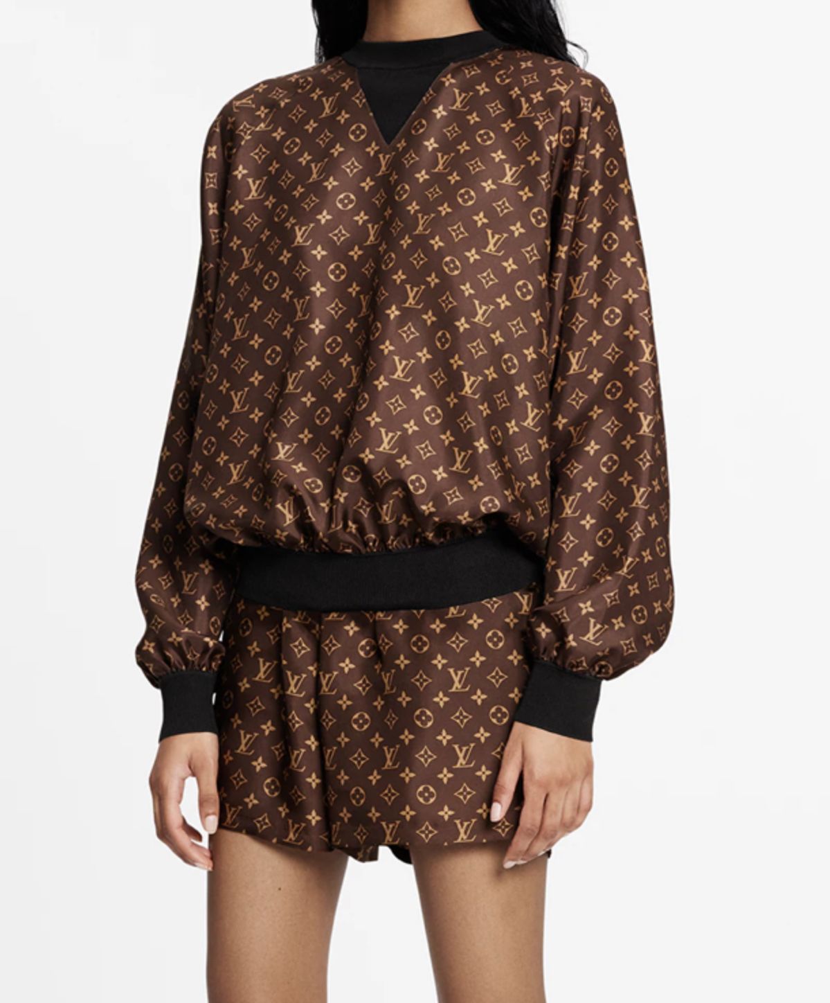 Louis Vuitton Monogram Set